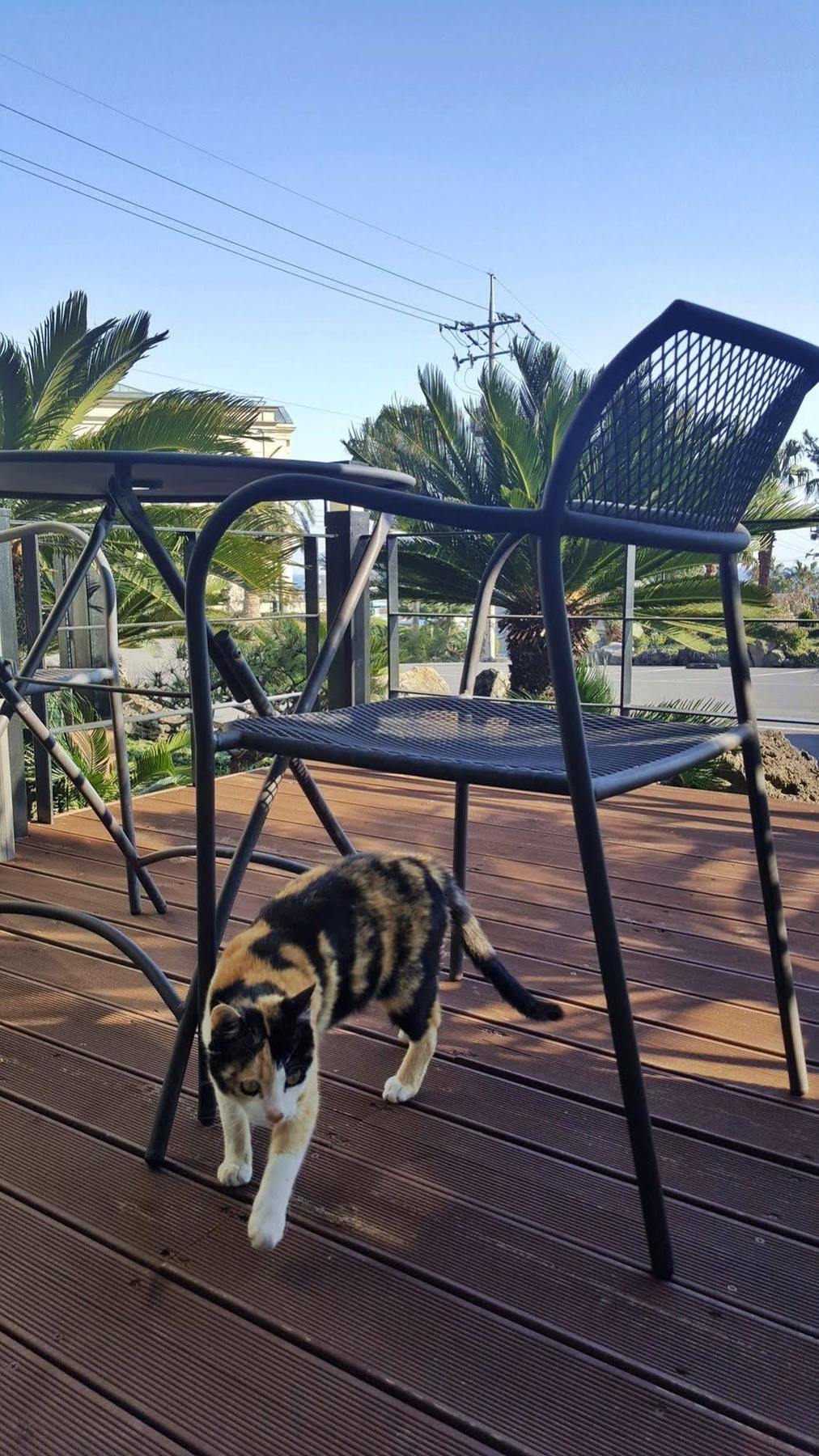 Familia Hotel Seogwipo Zewnętrze zdjęcie